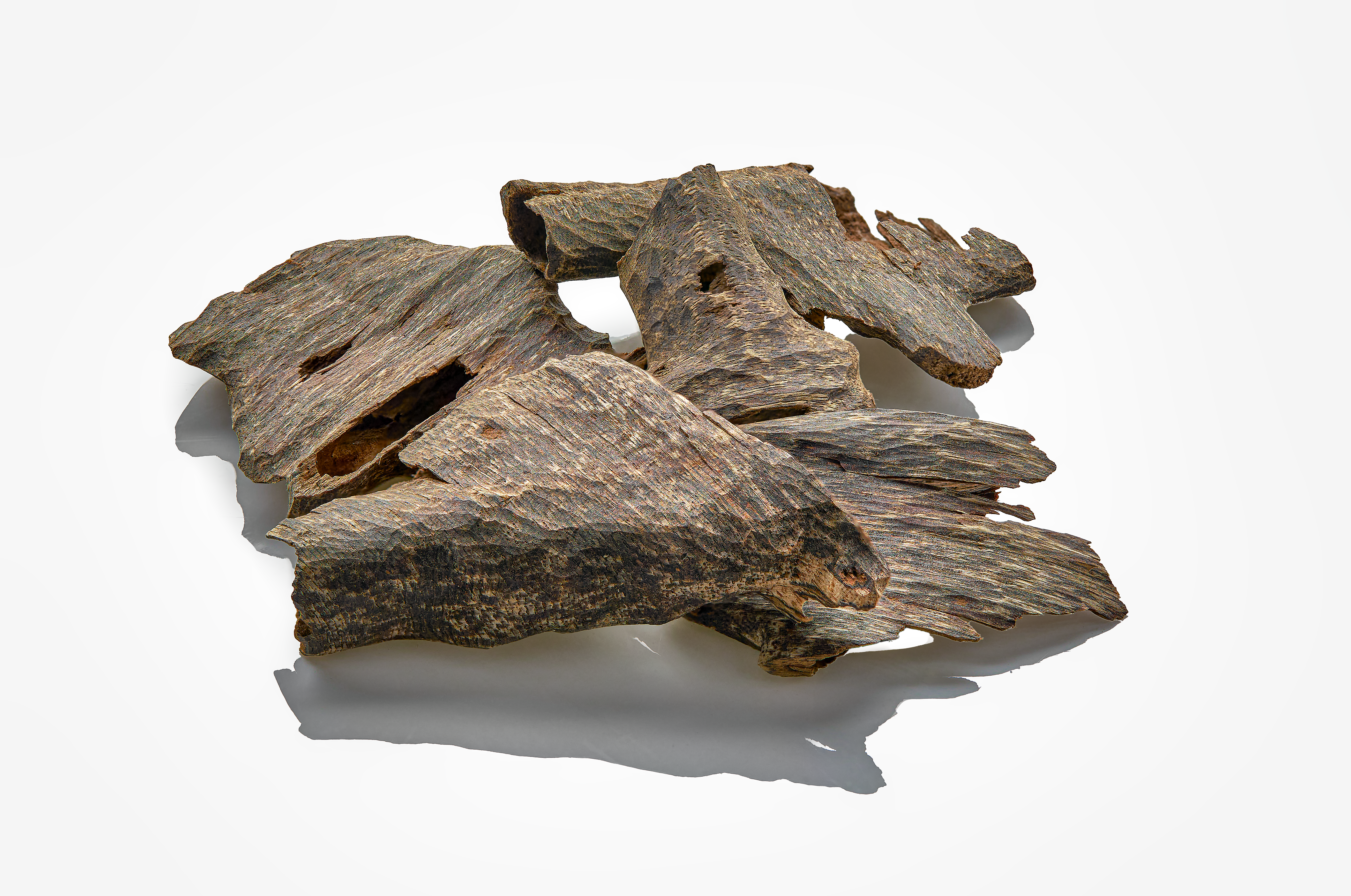 عود ترات من تايلاند